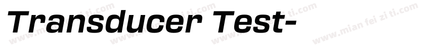 Transducer Test字体转换